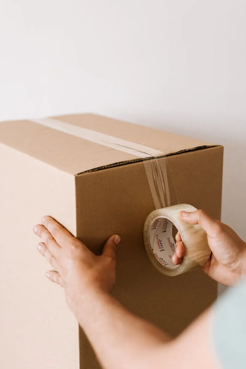 Packaging Boxes/Bags Design